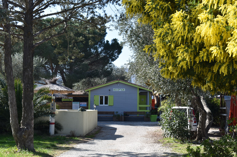 Camping Les Oliviers Le Boulou